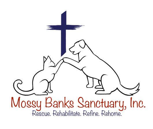 Rescue Logo